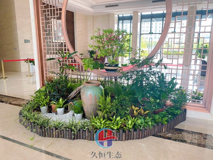 江北企业大厅组合花卉绿植摆放