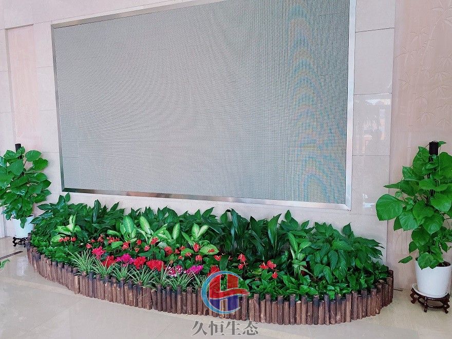 江北企业大厅显示屏组合花卉绿植摆放